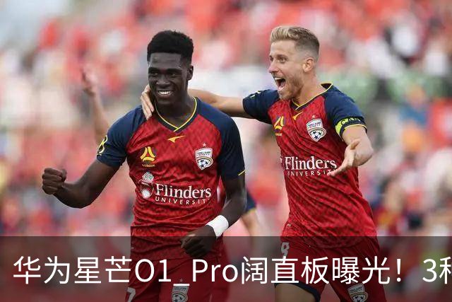 华为星芒O1 Pro阔直板曝光！3种配色、4档存储，性价比新机要来了