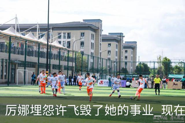 厉娜埋怨许飞毁了她的事业 现在二人谁的收入更高？